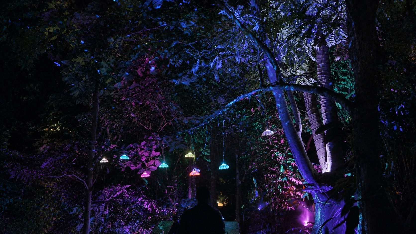 Colorful hanging lights and illuminated tropical foliage in the Jungle forest