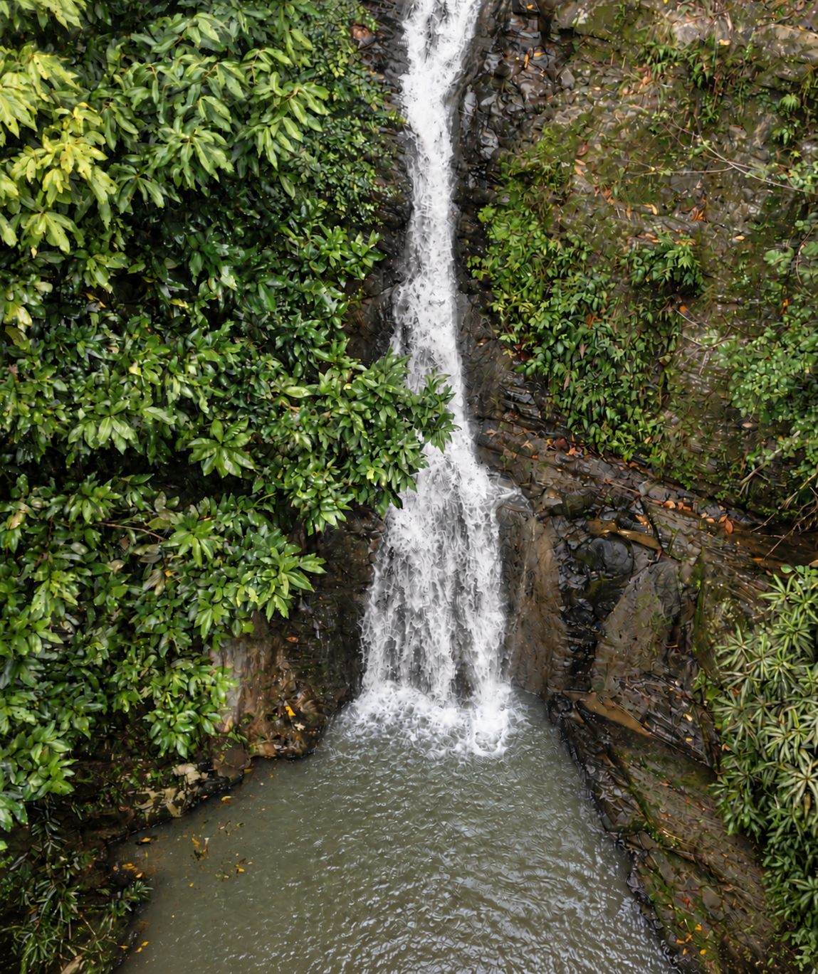 A cascading Jungle waterfall flowing into a lagoon surrounded by tropical foliage