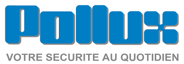 Logo Pollux