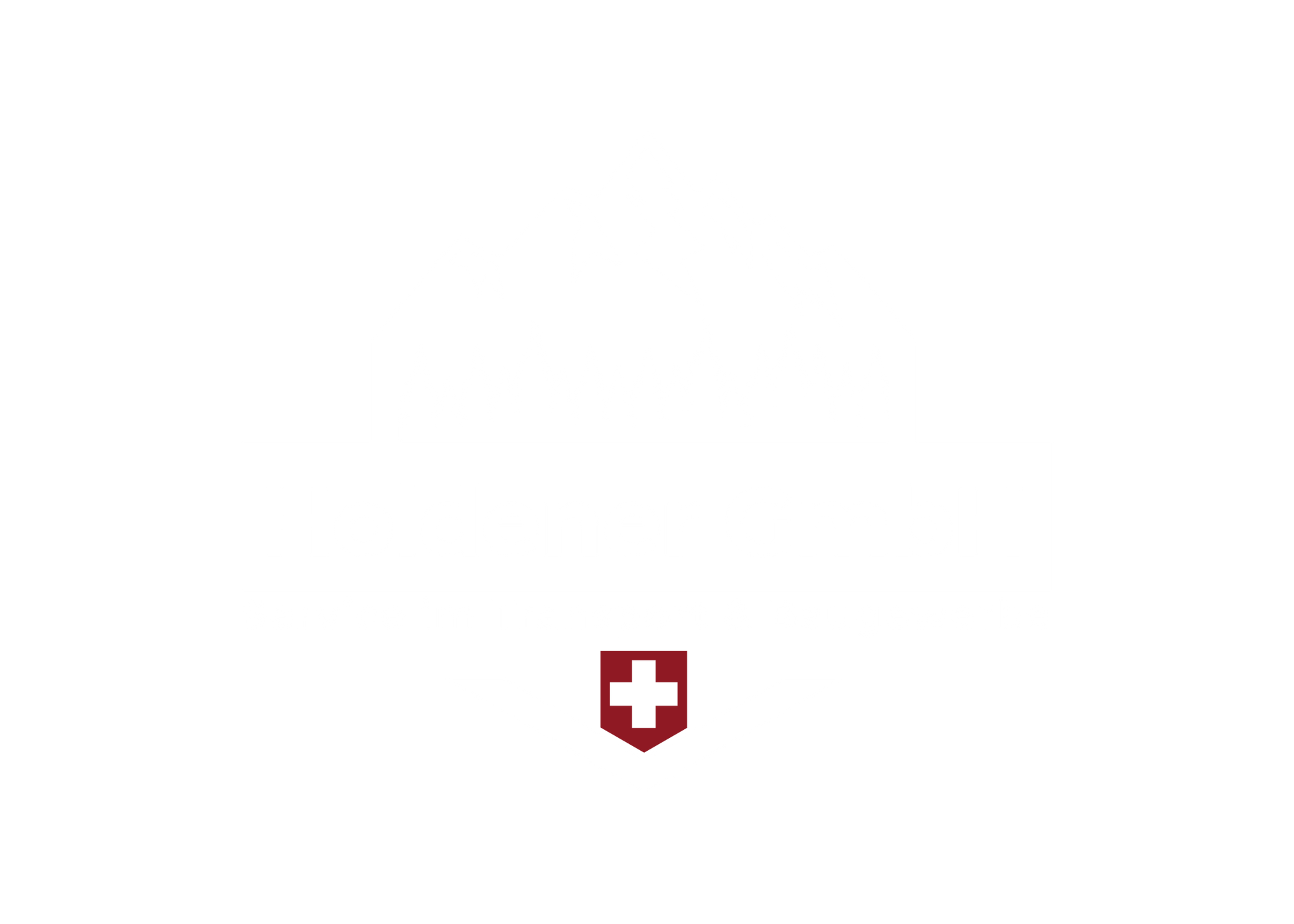 Holdener-Service-GmbH-logo