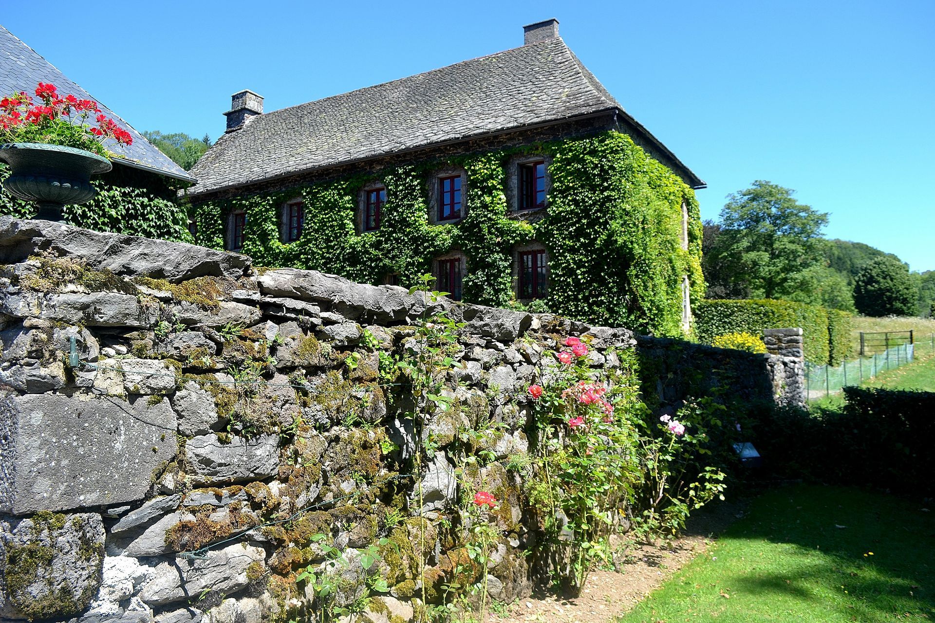 Une maison en pierre recouverte de lierre se dresse derrière un mur de pierre rustique, entourée de roses.