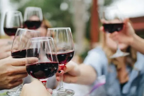 Amigos brindando con copas de vino tinto en una reunión al aire libre