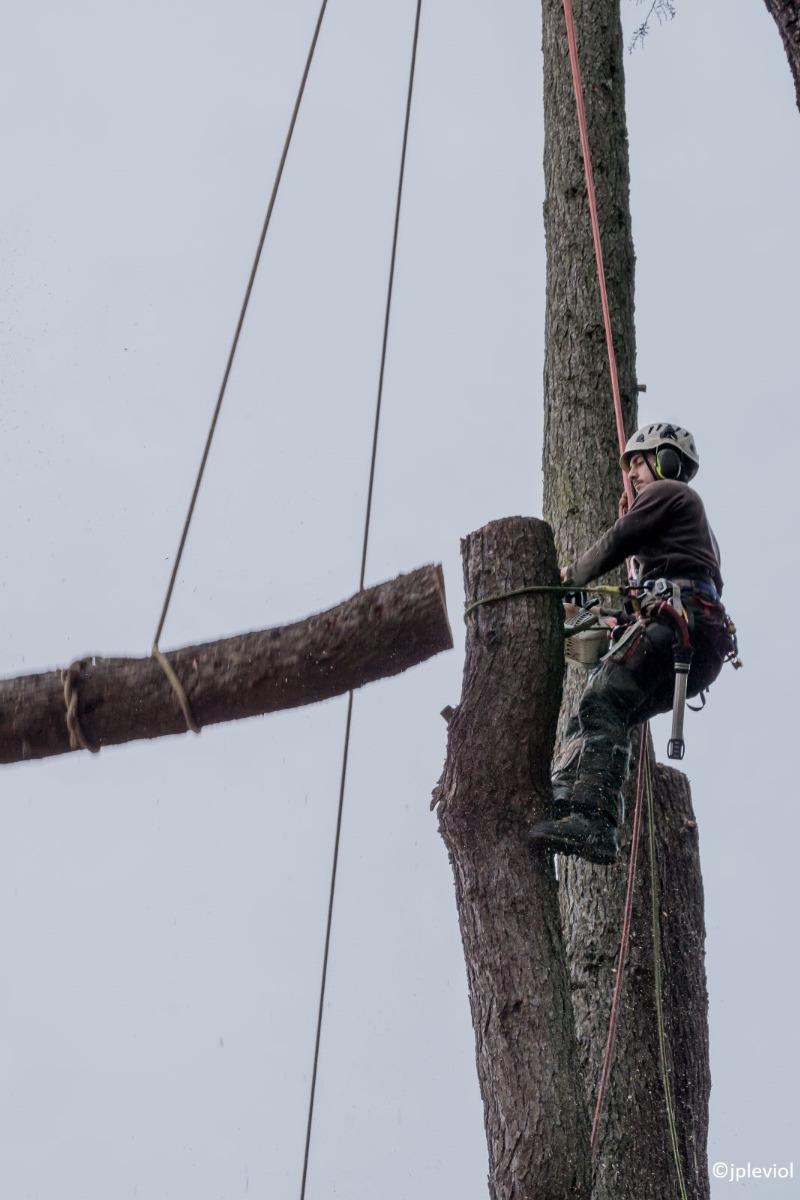Abattage par démontage sectionnel