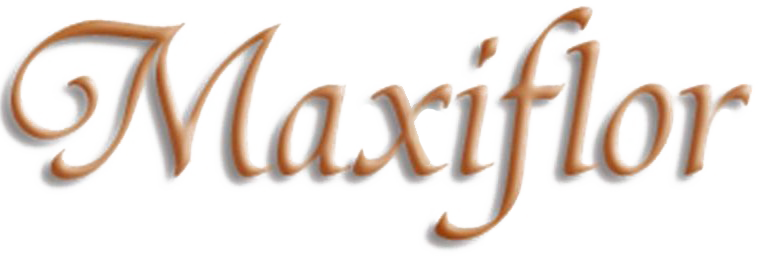 logotipo cabecera