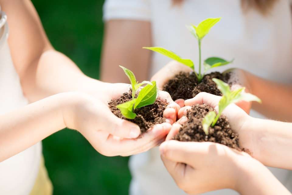 MW Gartenbau & Gartengestaltung GbR – Drei Personen halten jeweils mit beiden Händen etwas Erde und eine blühende Pflanze