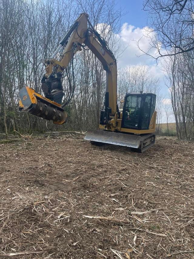 Vers la page Défrichage.