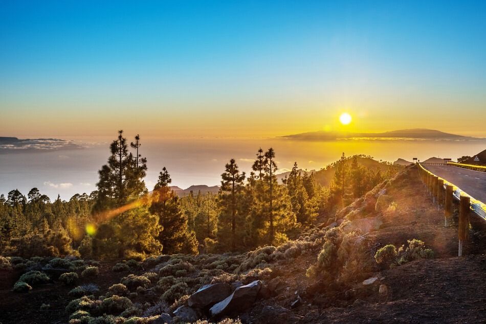 El sol se está poniendo sobre un cuerpo de agua con árboles en primer plano.