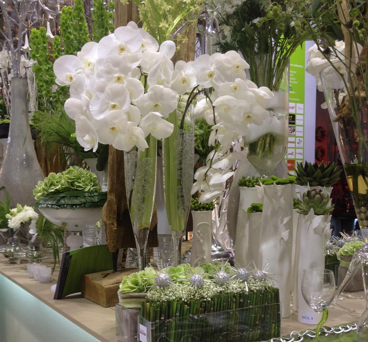 point a la lgne 2 062