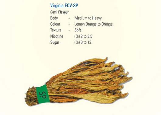 Un manojo de tabaco de Virginia con una cinta verde alrededor.