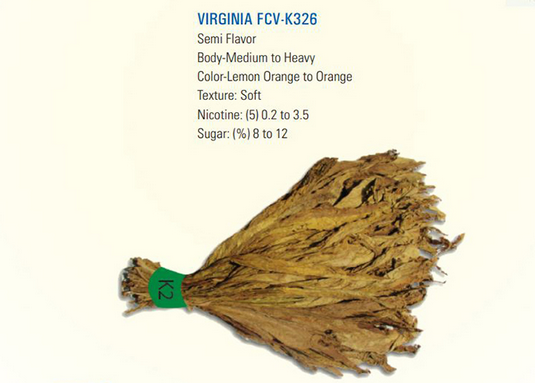 Un manojo de tabaco de Virginia con una cinta verde alrededor.