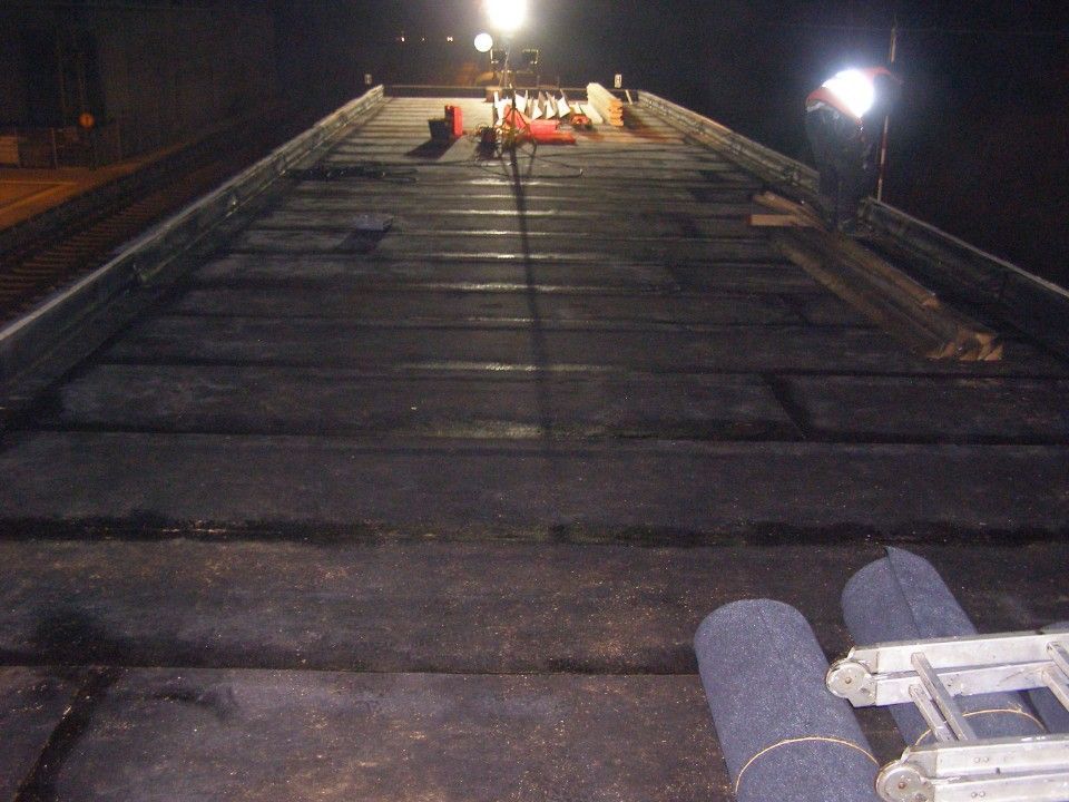 Foto eines Dachs bei Nacht