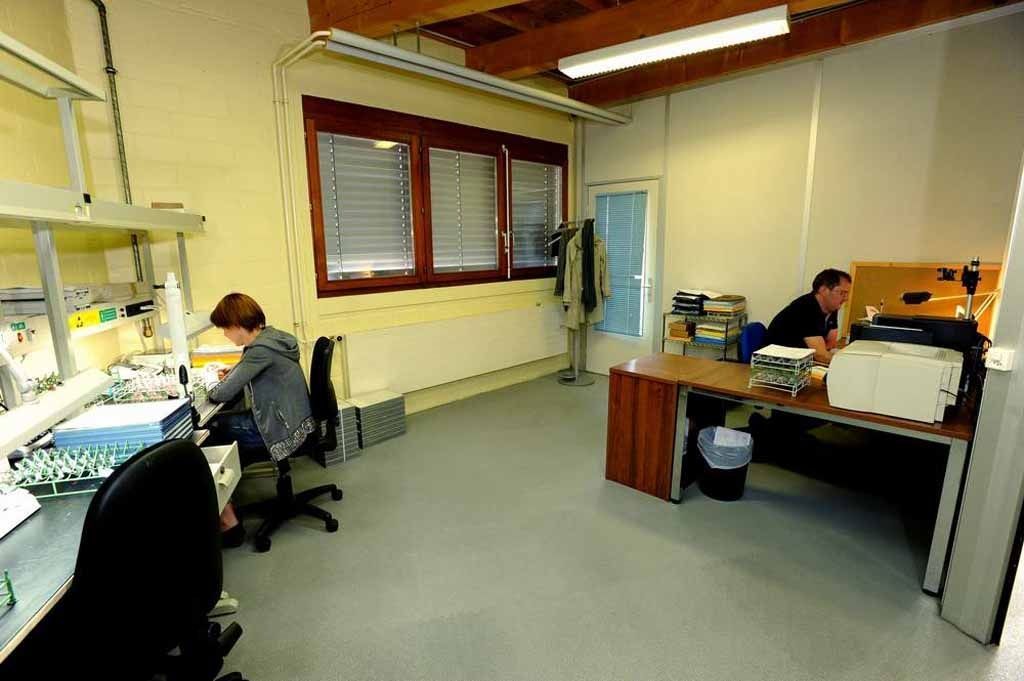 Jurasit Sàrl - Contrôle esthétique - Les Bois