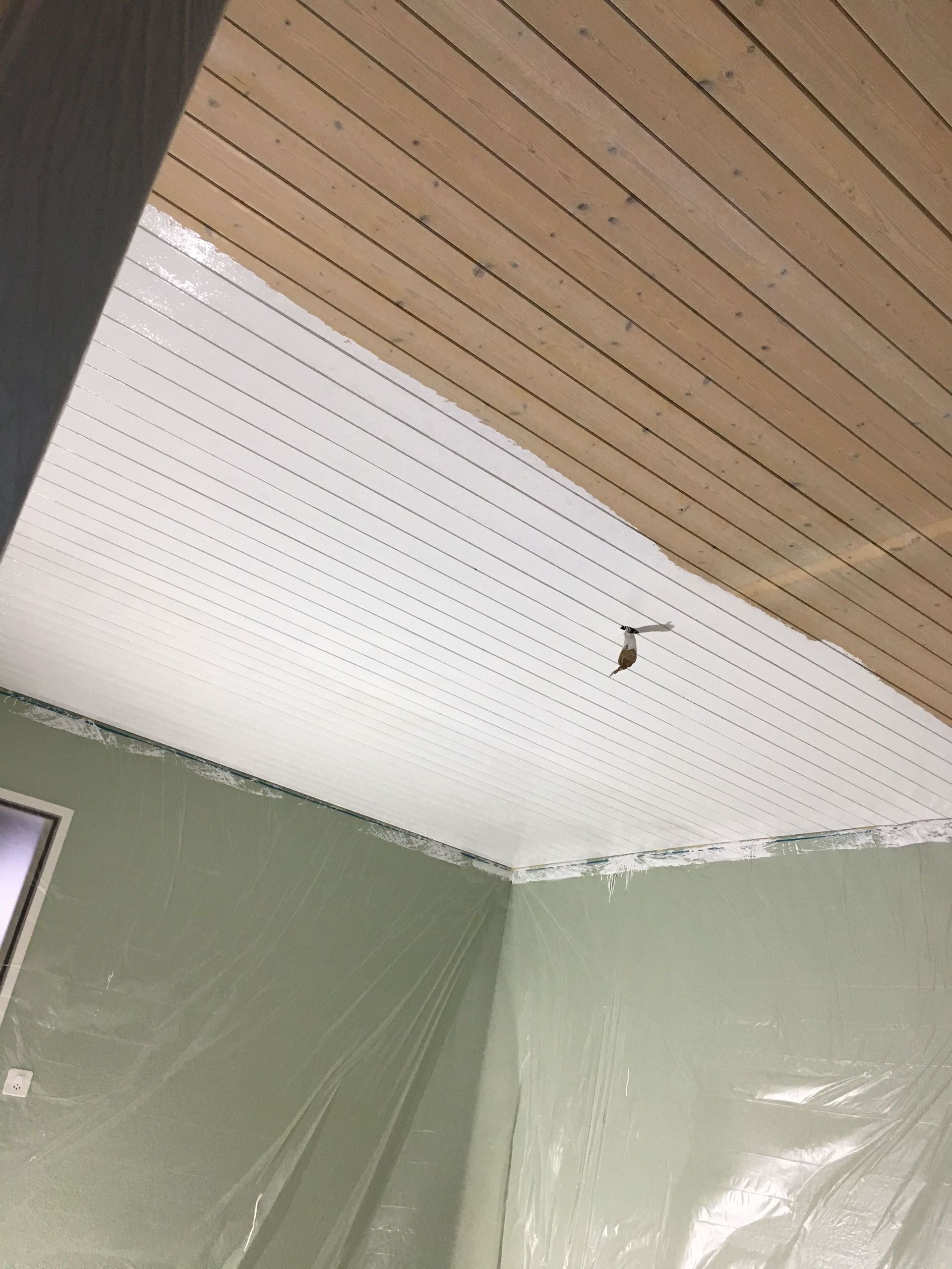 In Arbeit 3 - Malergeschäft Bugmann - Niederlenz