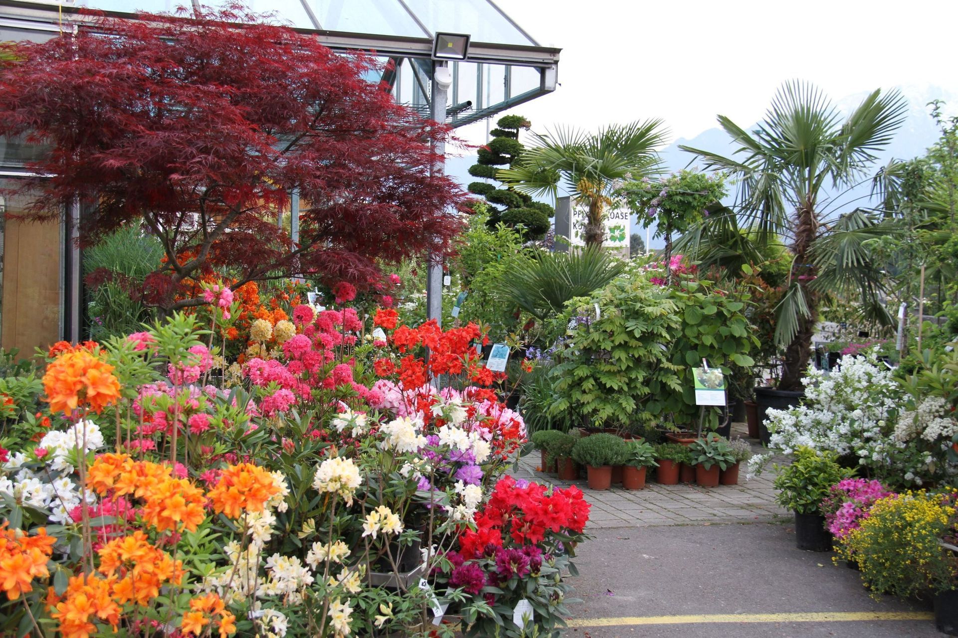 Gartencenter Im Umkreis Von 50 Km Gartencenter Steffisburg - Thun / Bern - Kummer Gartenbau