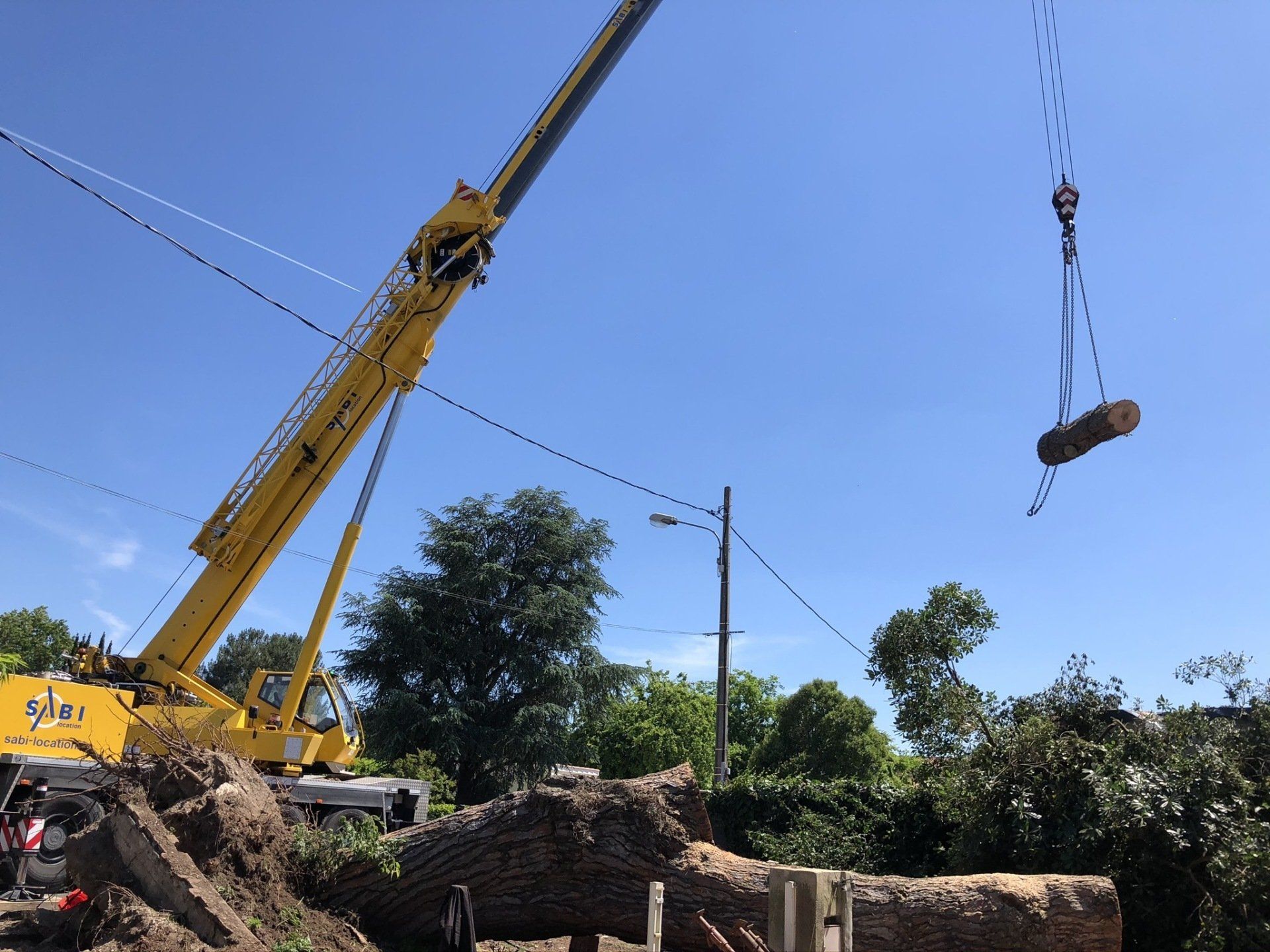 Tronçons d'arbres grutés et déplacés