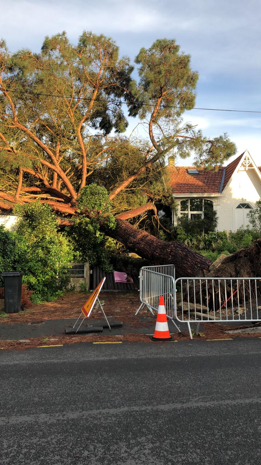 Gros arbre tombé sur une habitation