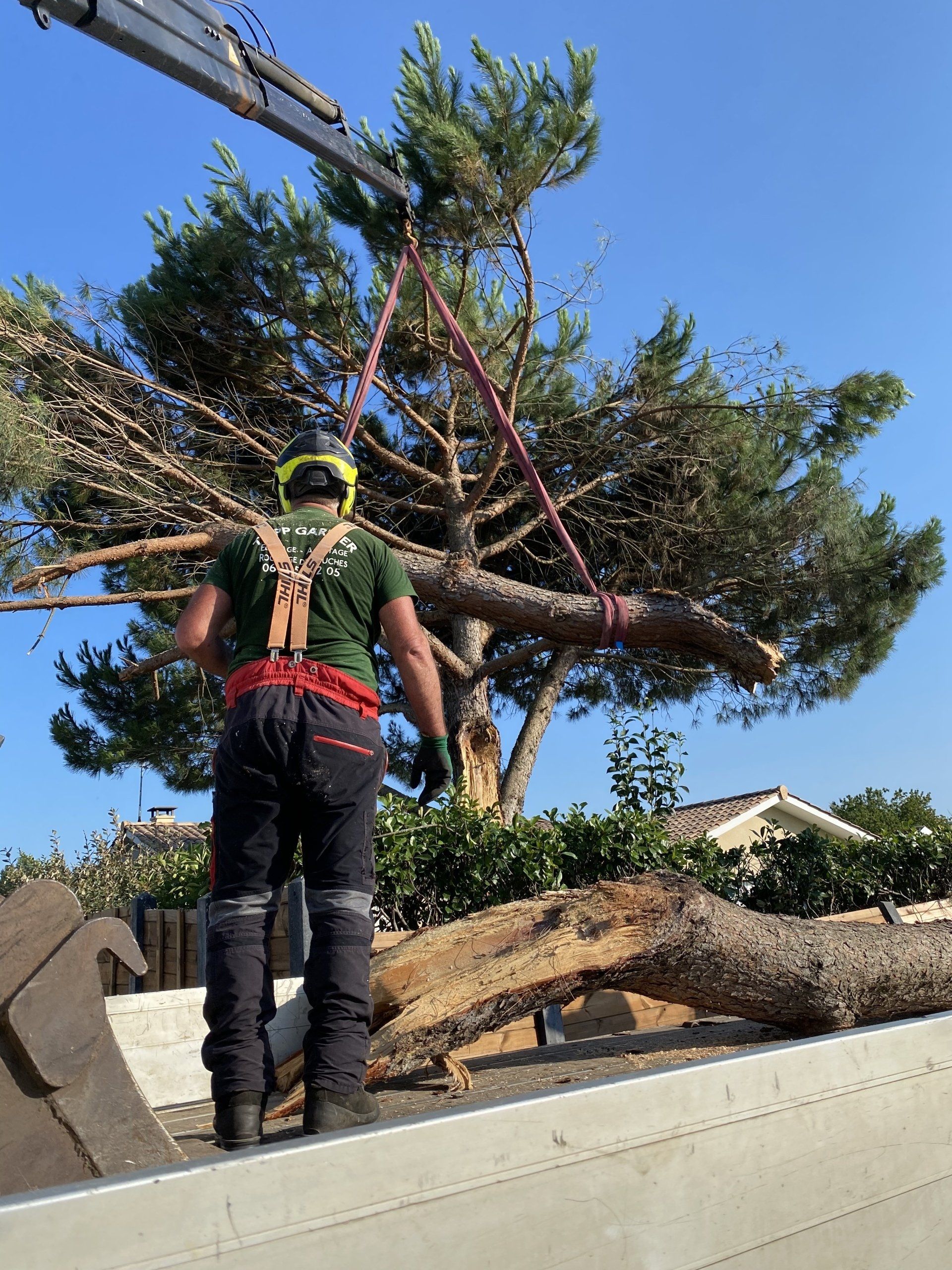 Déplacement tronc d'arbre