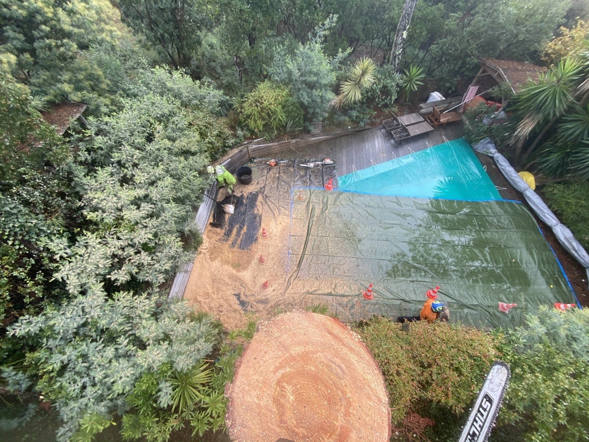 Elagage vu d'en haut