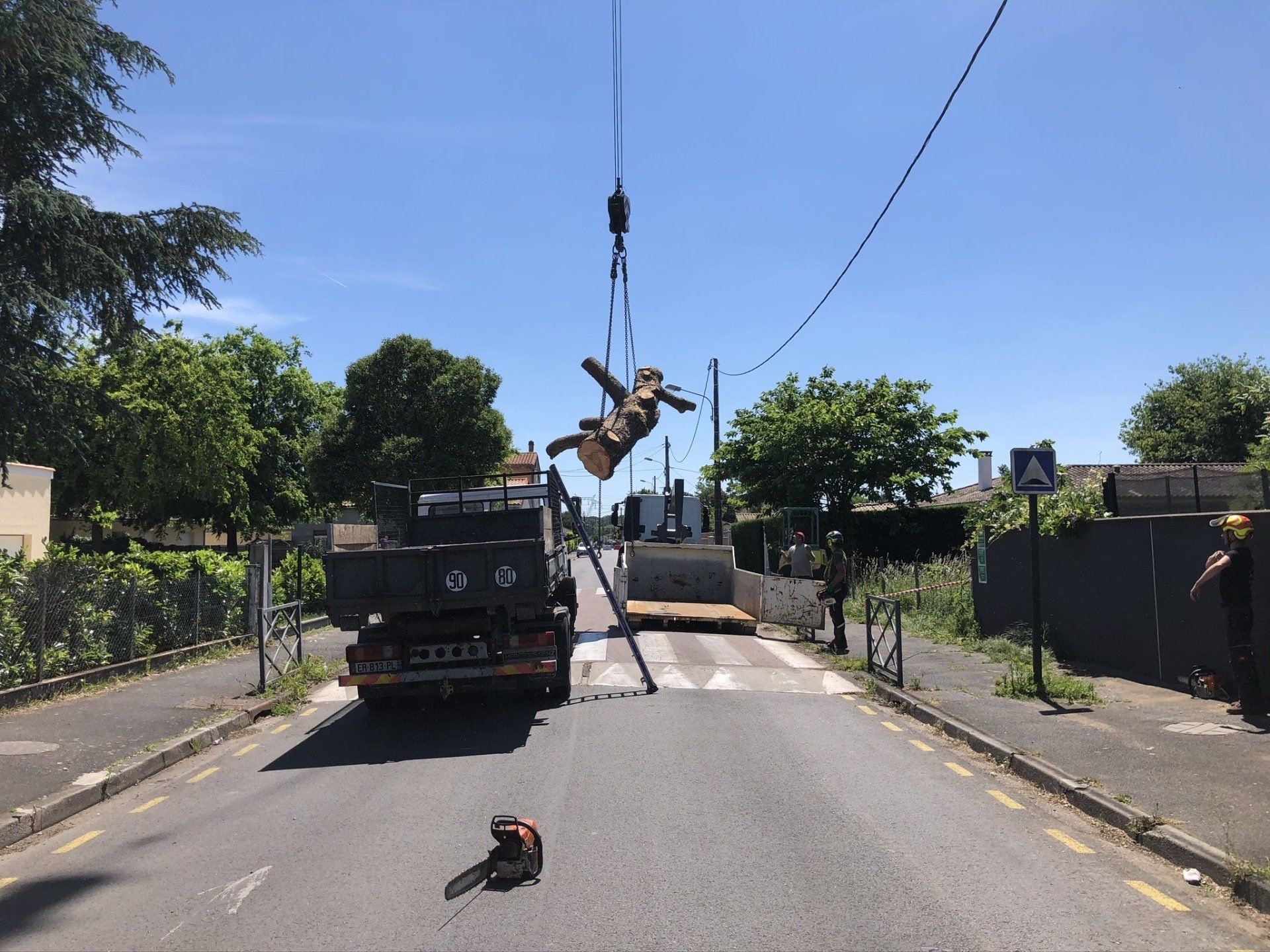 Morceau d'arbre gruté