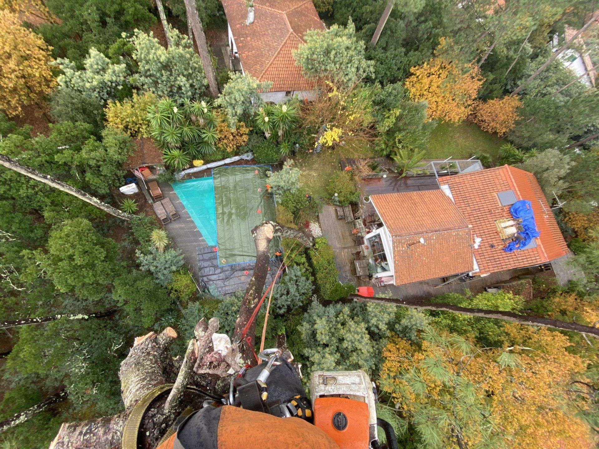 Vue d'un élagueur en action