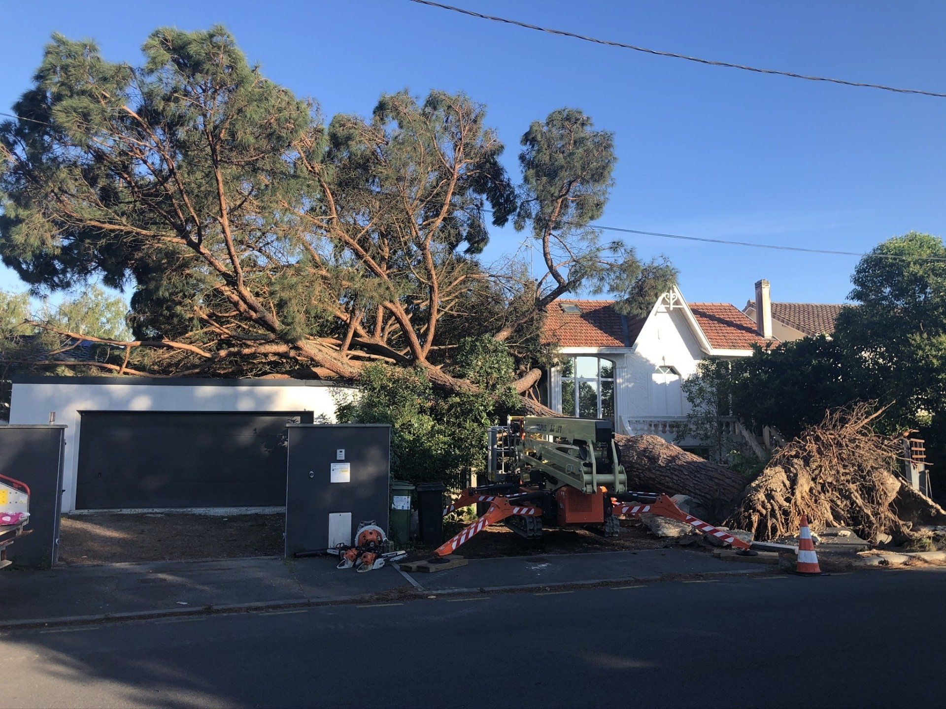 Arbres tombé sur maison