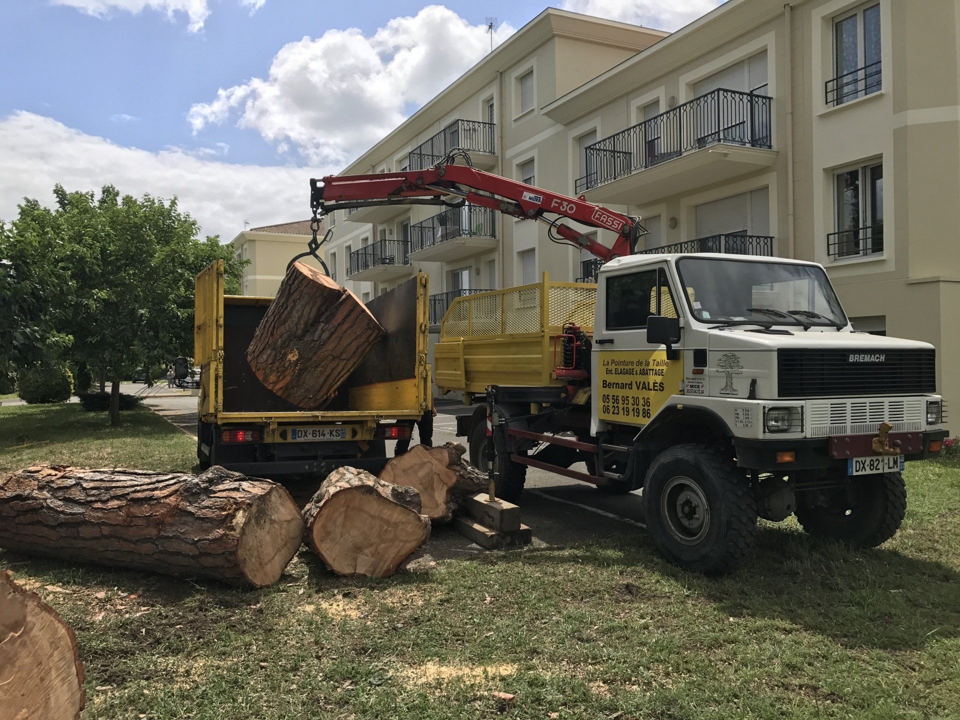 Camion pour démontage d'arbres