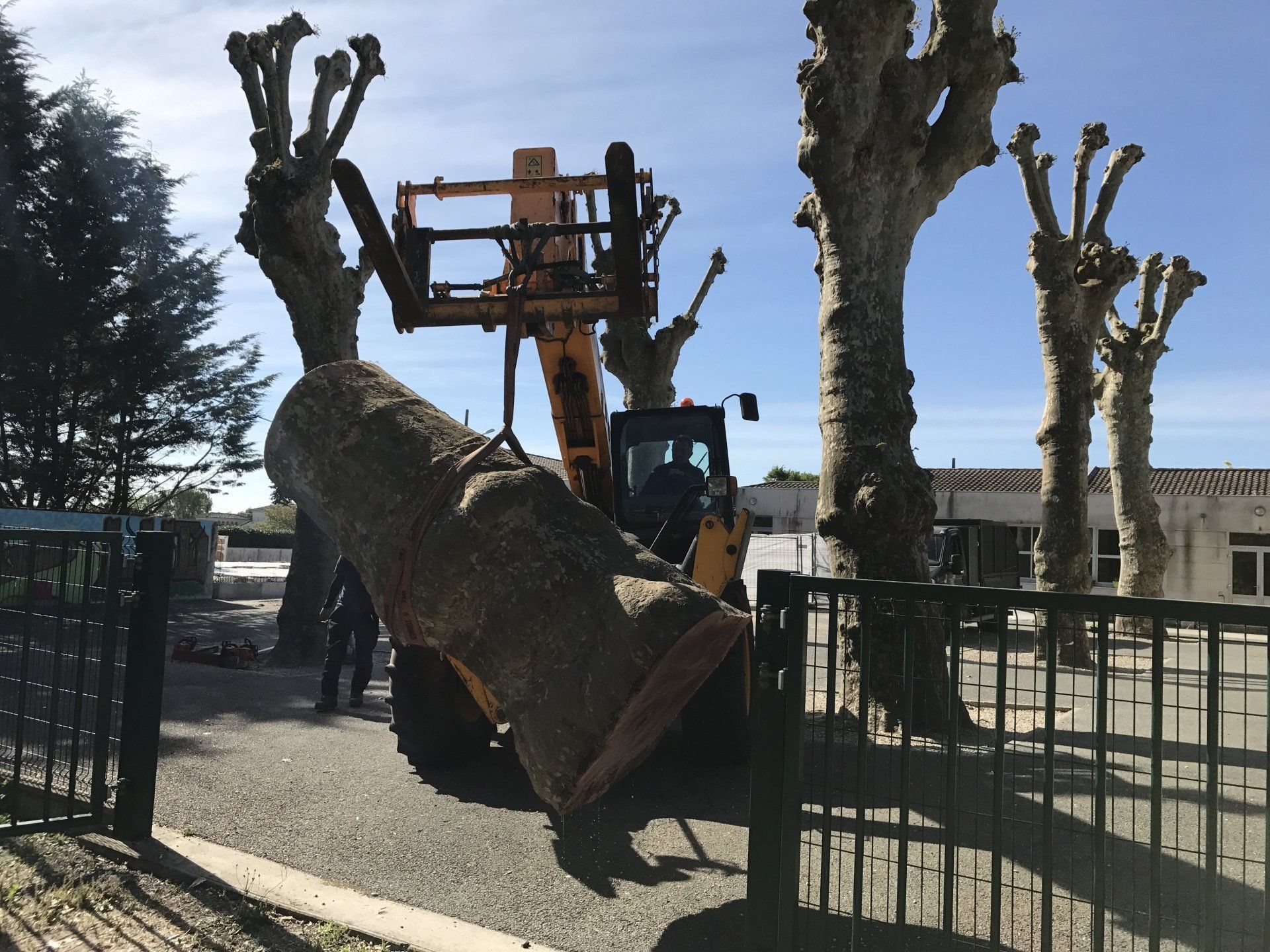 Arbre démonté pelleté