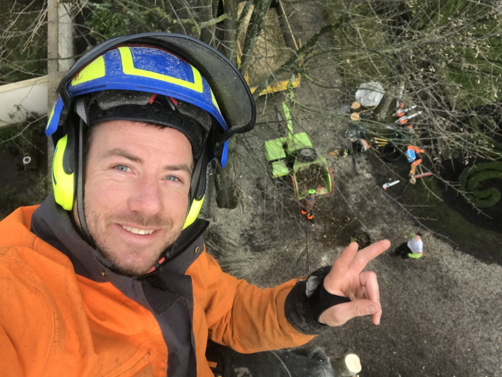 Élagueur dans les airs