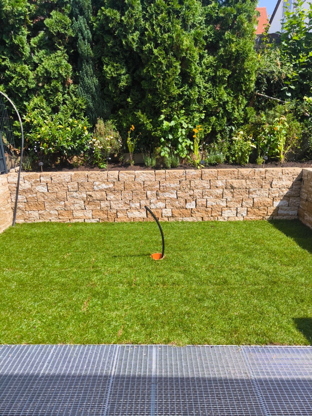 Rasen mit Rasensprenger, Steinmauer und dahinter dichten, grünen Bäumen
