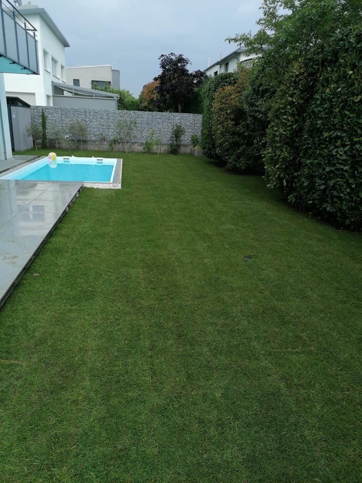 Rasen neben einem kleinen Pool, mit hohen Hecken und einem Haus auf der linken Seite.