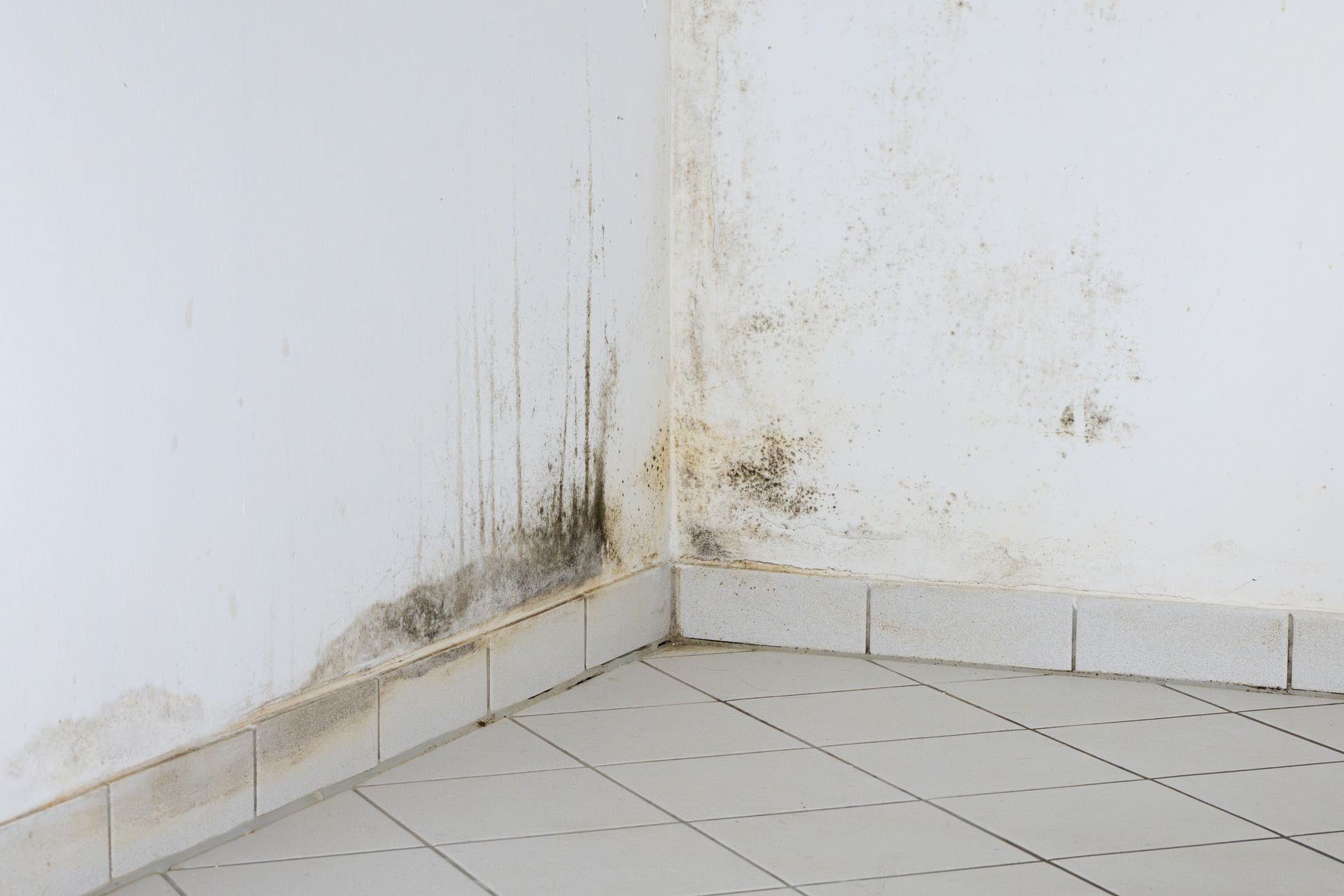 Taches d'humidité sur un mur blanc à l'intérieur d'un logement