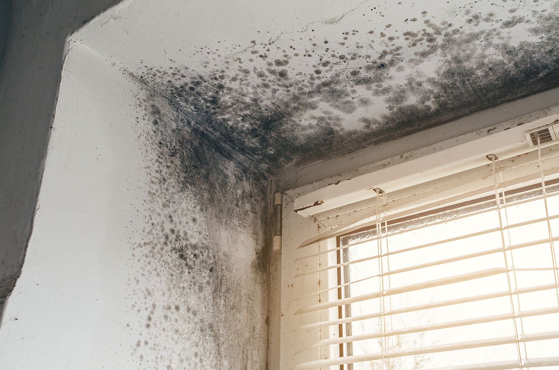 Taches d'humidité dans un coin de mur