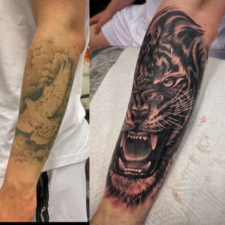 Cover-up Realismus Tiger