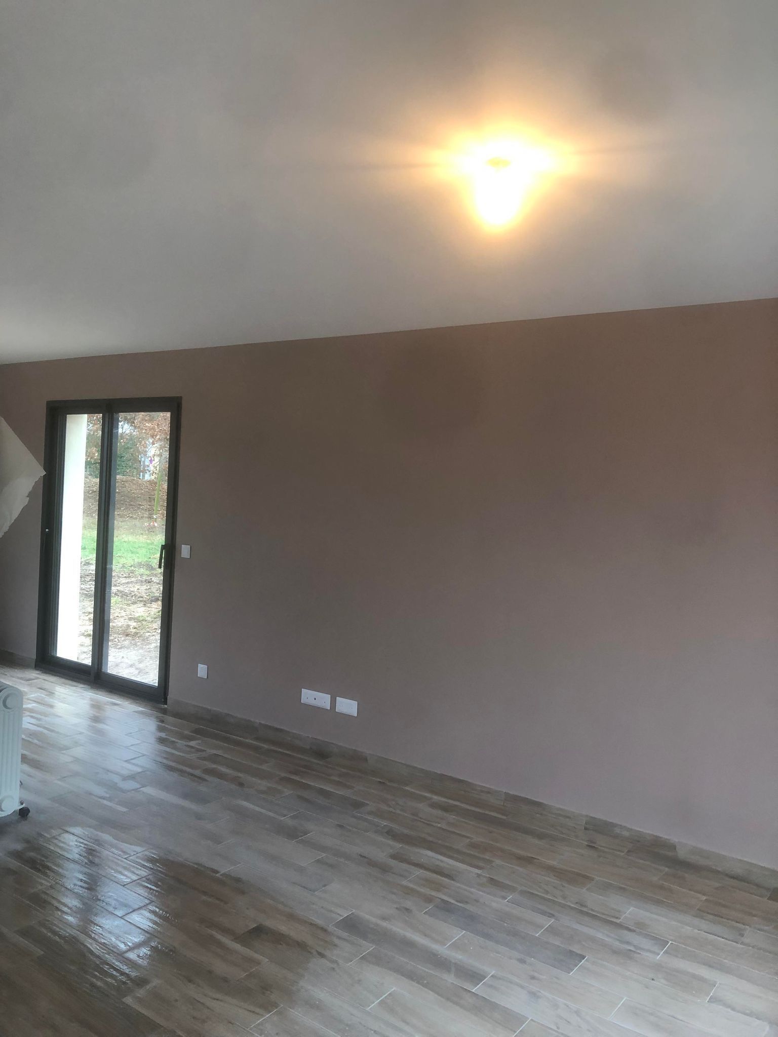 Pièce vide avec parquet, mur marron et porte vitrée. Plafonnier allumé.