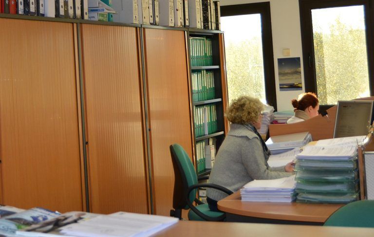 renovación tarjeta de transporte