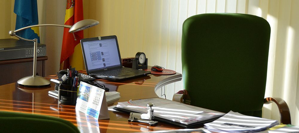 representación del sector transporte