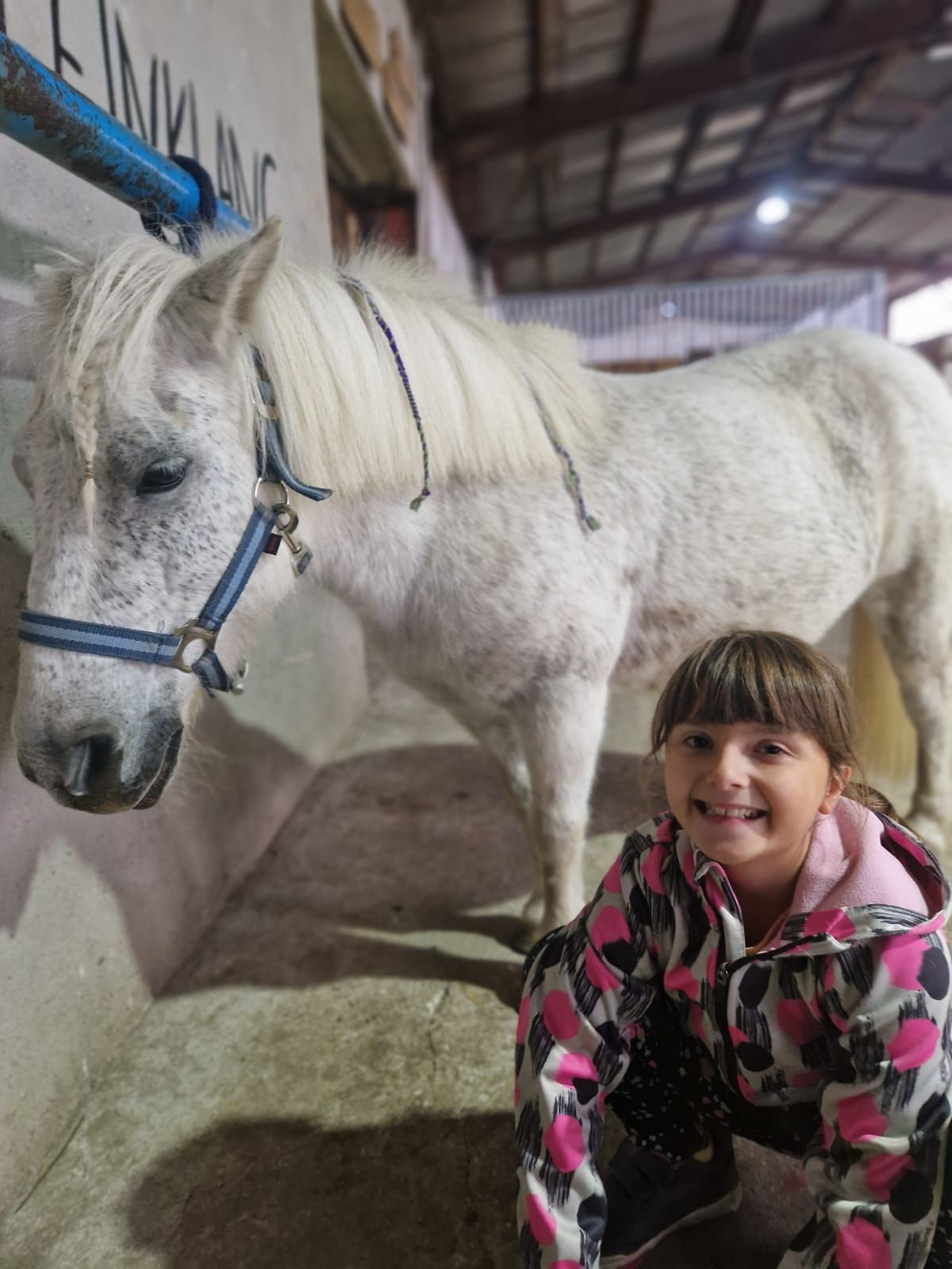 Ein kleines Mädchen kniet neben einem weißen Pferd in einem Stall.