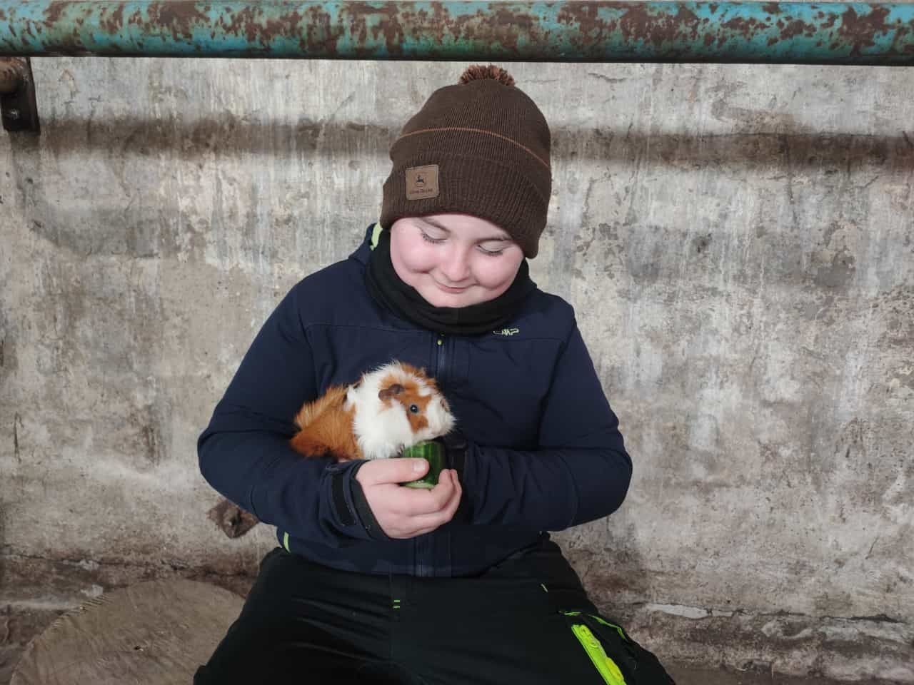 Ein kleiner Junge hält ein Meerschweinchen in seinen Händen