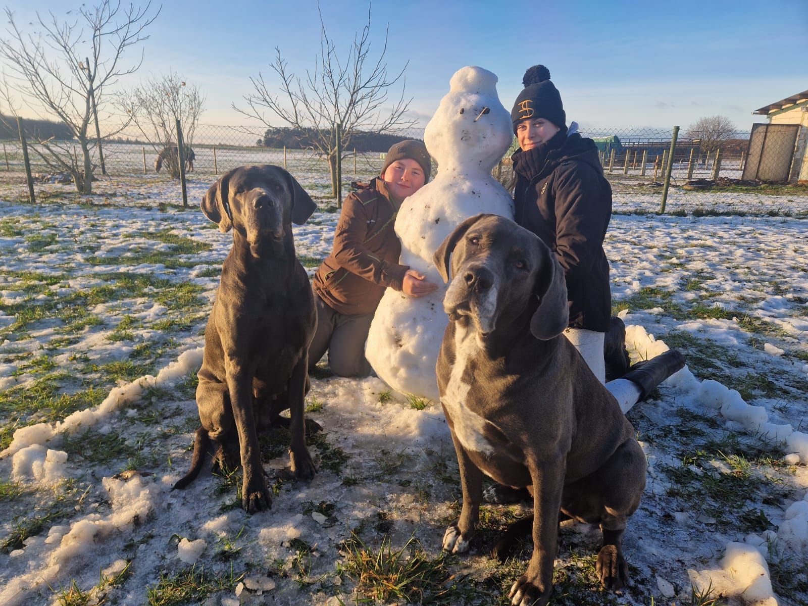 Eine Gruppe von Menschen und Hunden baut einen Schneemann im Schnee.