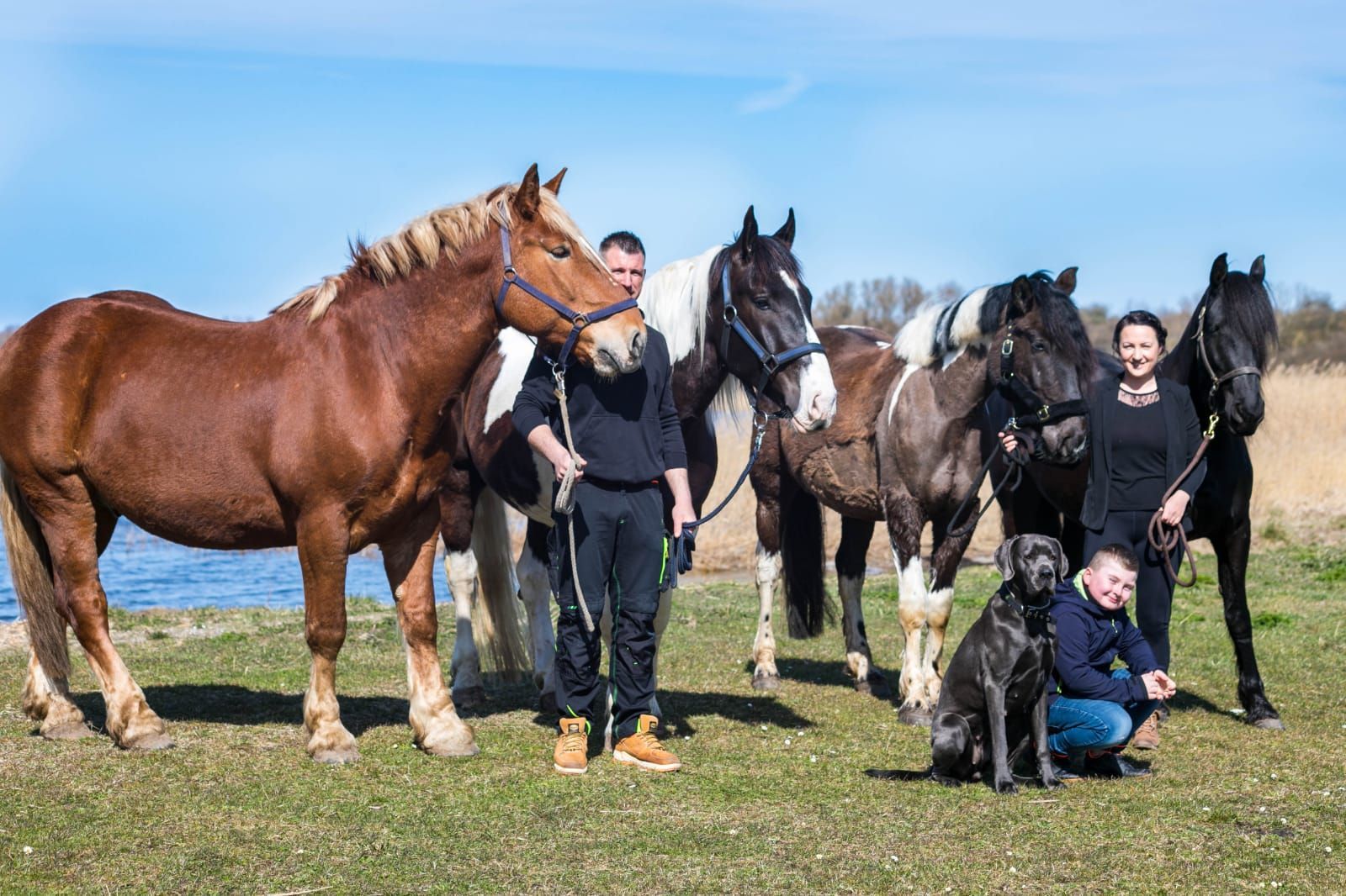 Eine Gruppe von Menschen steht neben Pferden und einem Hund auf einem Feld.