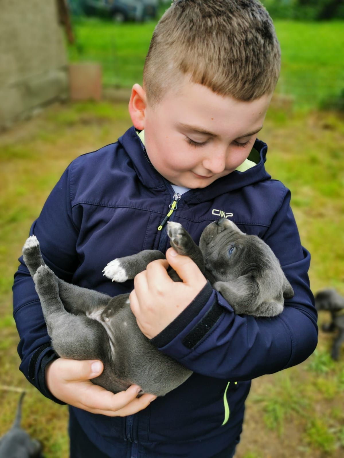 Ein kleiner Junge hält einen Welpen in seinen Armen.