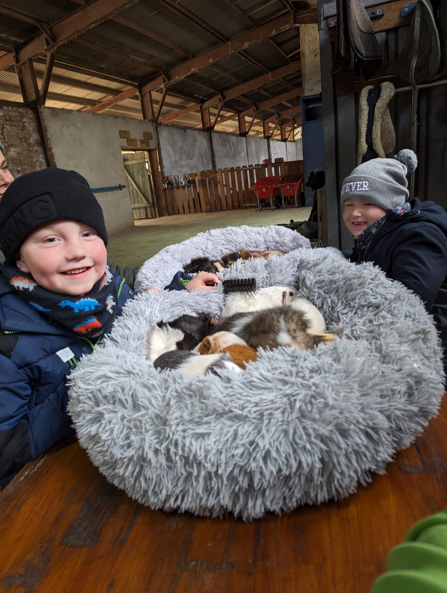 Eine Gruppe Kinder sitzt um ein Hundebett voller Meerschweinchen herum.