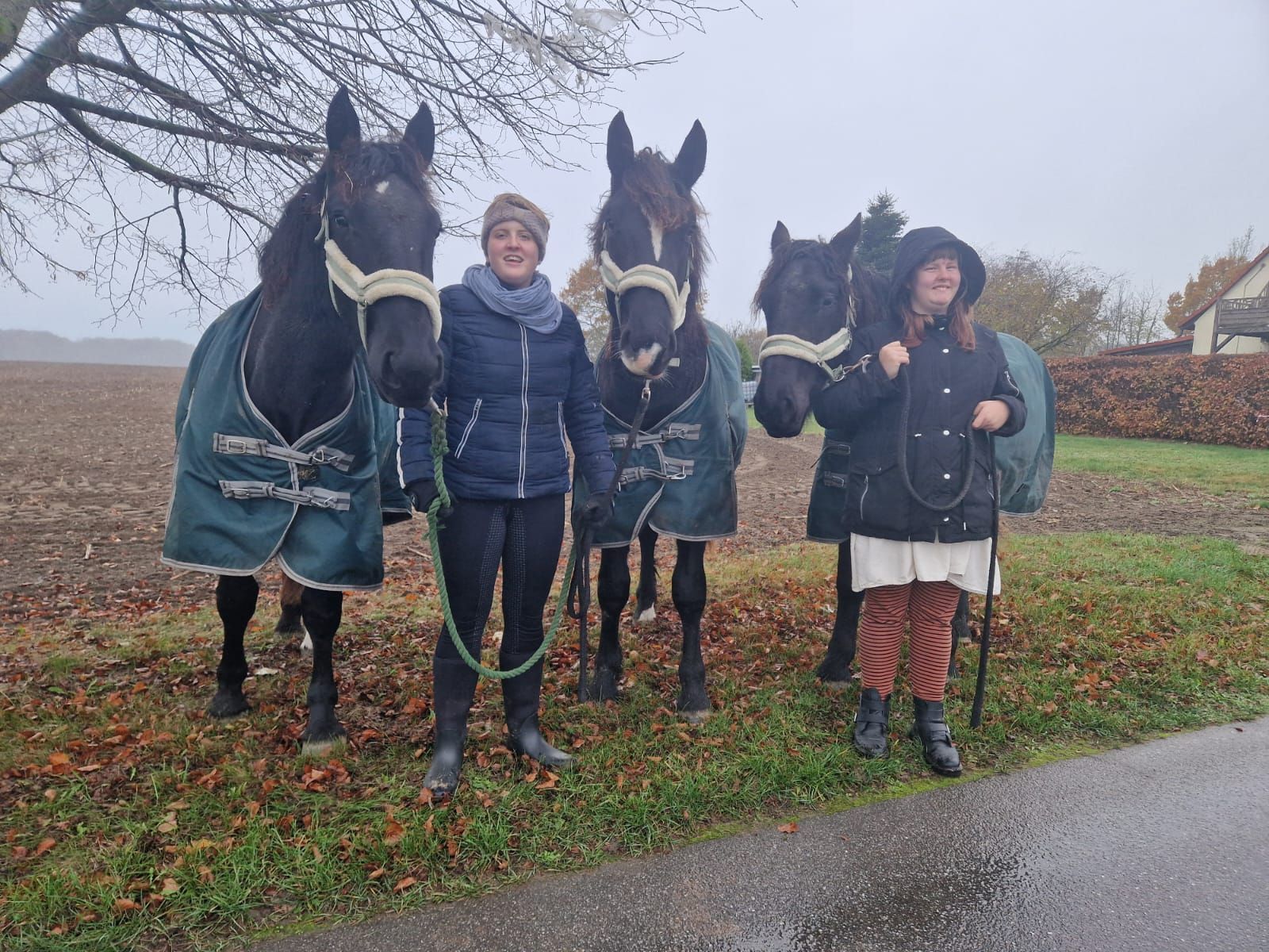 Eine Gruppe von Menschen steht neben Pferden auf einem Feld