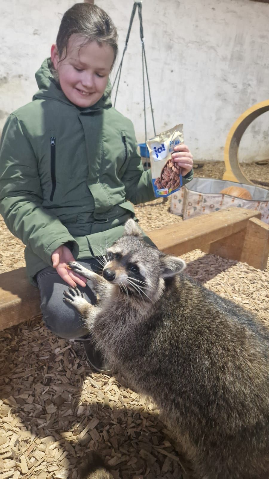 Ein kleiner Junge streichelt einen Waschbären, während er auf einer Bank sitzt.