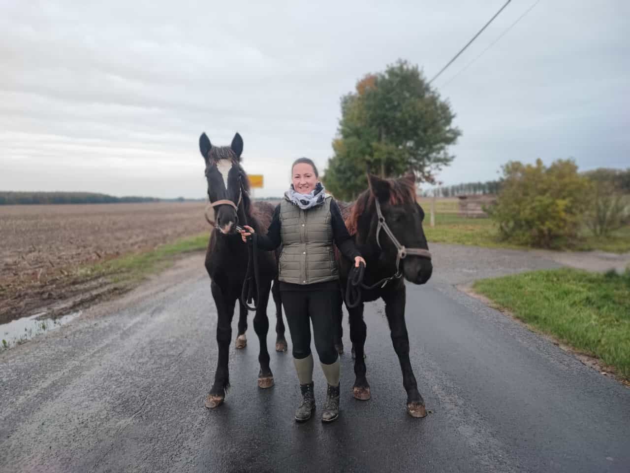 Eine Frau führt zwei Pferde eine Straße entlang.