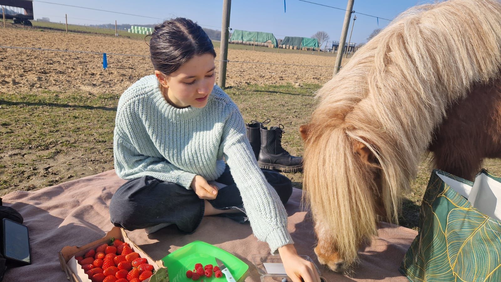 Eine Frau sitzt auf einer Decke neben einem Pferd und isst Erdbeeren.