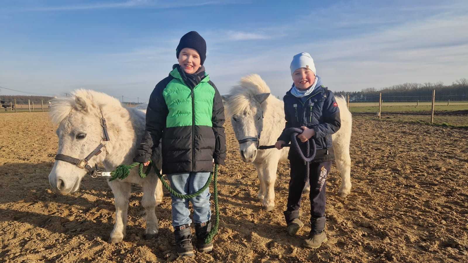 Zwei Kinder stehen neben zwei weißen Pferden auf einem Feld.