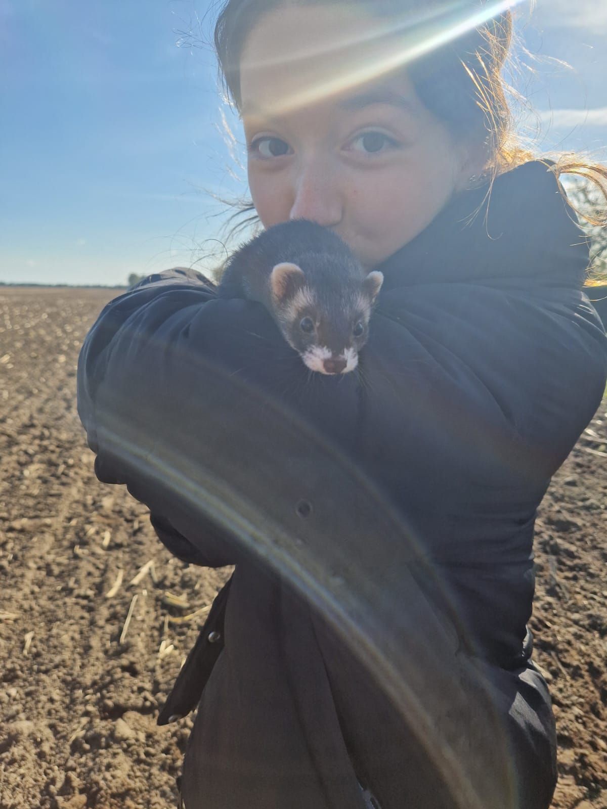 Eine Frau hält auf einem Feld ein Frettchen in ihren Armen.