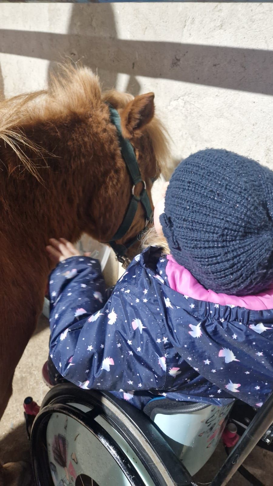 Ein kleines Mädchen im Rollstuhl streichelt ein Pony.