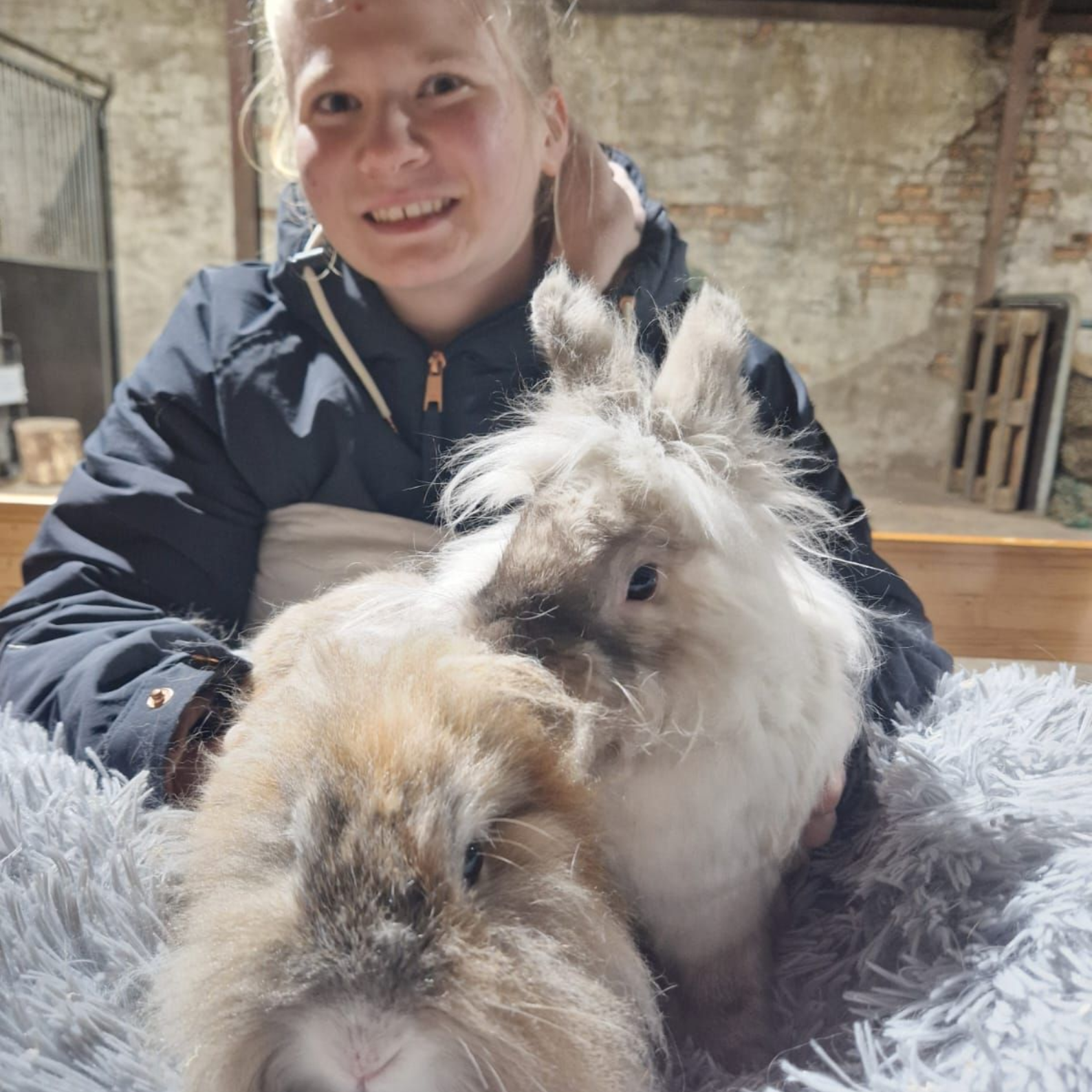 Eine Frau hält zwei Kaninchen auf einer Decke.